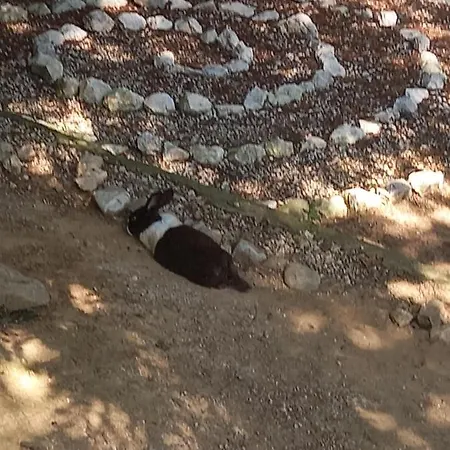Pyramid וילה